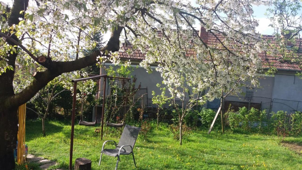Mri Residence Cluj Napoca Bagian luar foto