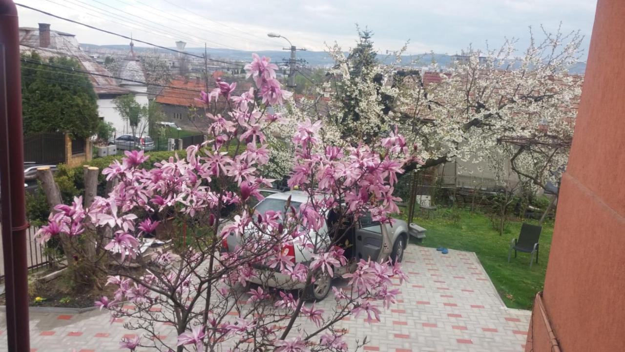 Mri Residence Cluj Napoca Bagian luar foto